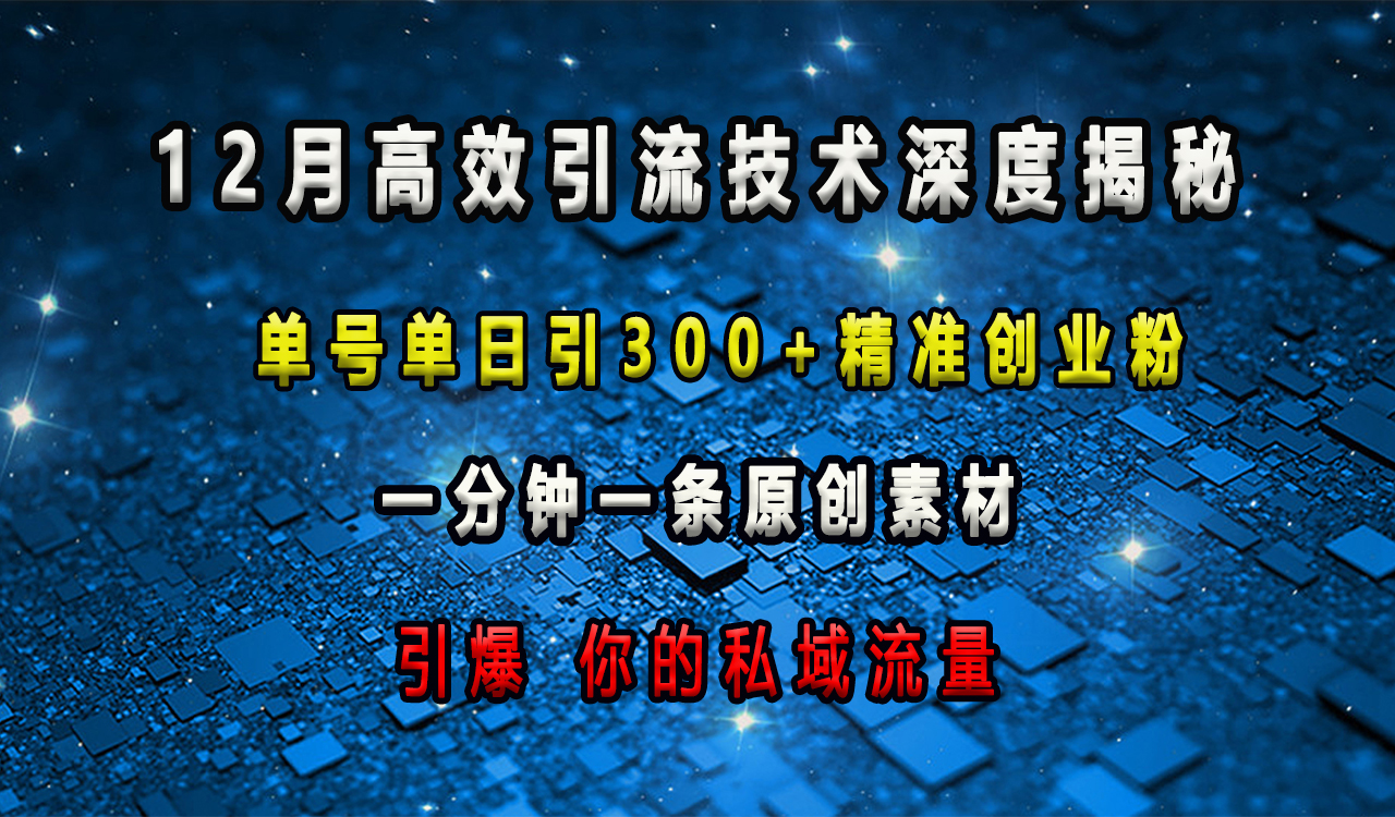 12月高效引流技术深度揭秘 ，单号单日引300+精准创业粉，一分钟一条原创素材，引爆你的私域流量-掘金计划