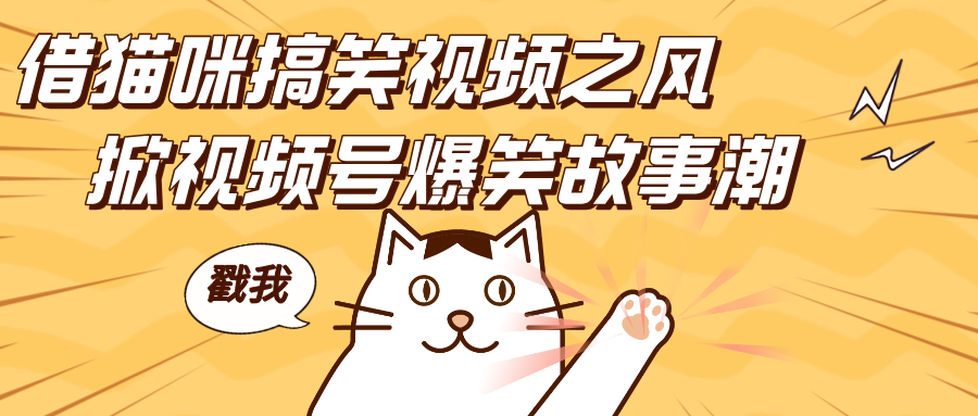 借猫咪搞笑视频之风，掀视频号爆笑故事潮，轻松日赚四位数，开启无门槛赚钱新体验！-掘金计划
