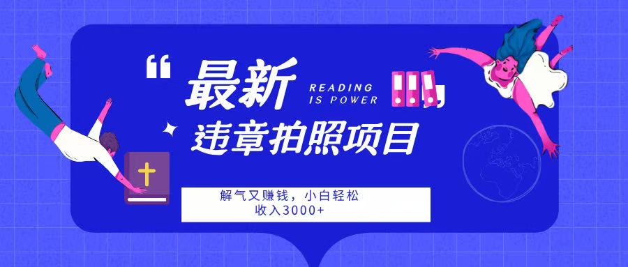 最新违章拍照项目，解气又赚钱，随手一拍，轻松收入3000-掘金计划