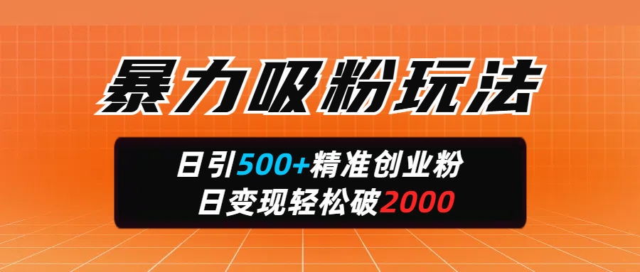 暴力吸粉玩法，日引500+精准创业粉，日变现轻松破2000-掘金计划