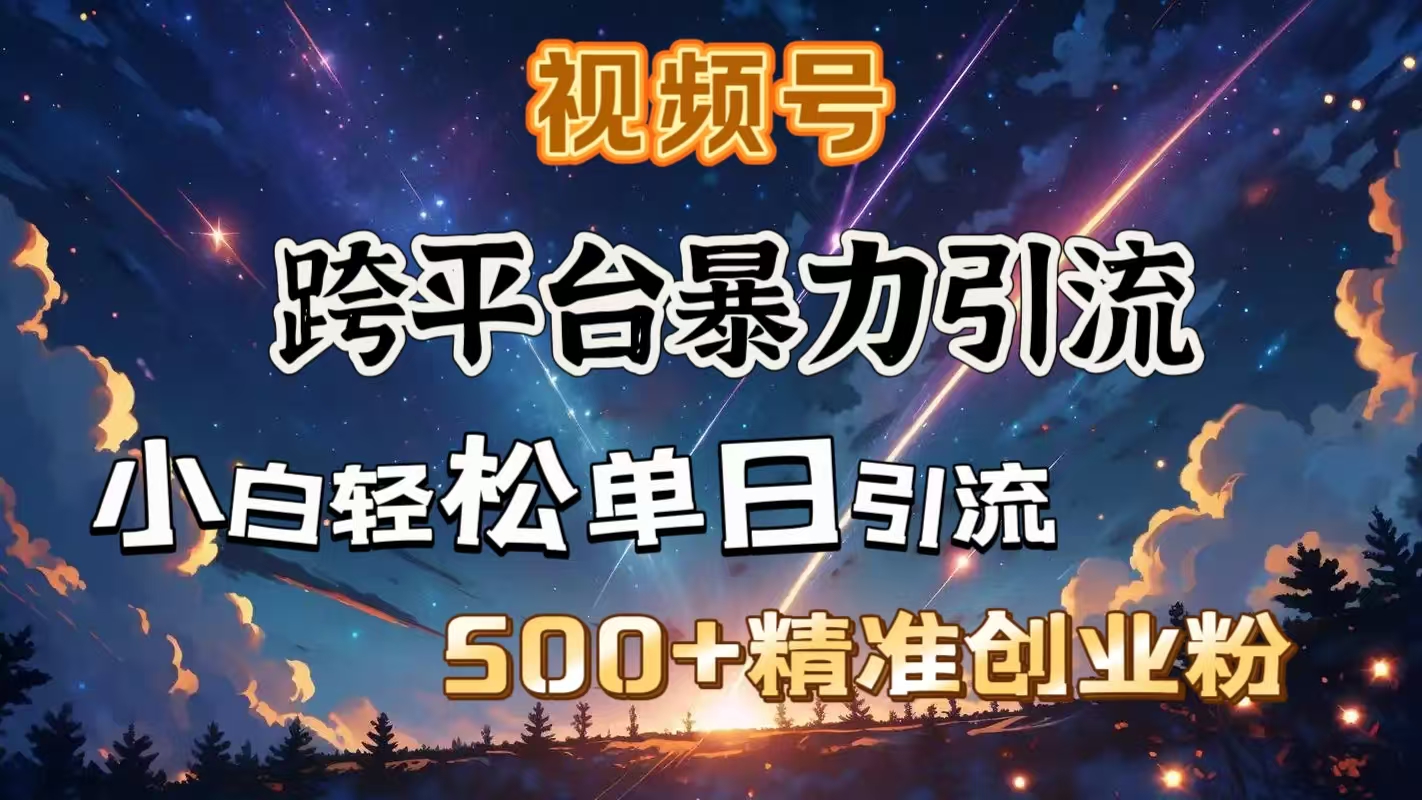 视频号跨平台暴力引流，小白轻松单日引流500＋精准创业粉-掘金计划