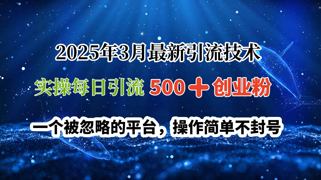 2025年3月最新引流技术，实操每日引流500➕创业粉，一个被忽略的平台，操作简单不封号-掘金计划