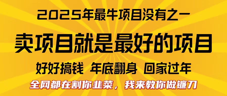 全网都在割你韭菜，我来教你做镰刀。卖项目就是最好的项目，2025年最牛互联网项目-掘金计划