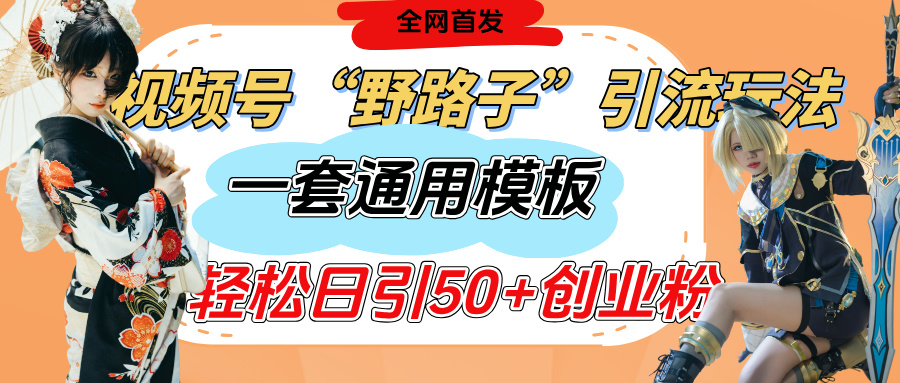 视频号“野路子”玩法，评论区疯狂截流，一套模板单日单号引流50+创业粉-掘金计划