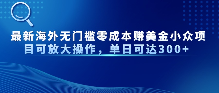 最新海外无门槛美金小众项目可放大操作，单日可达300+-掘金计划